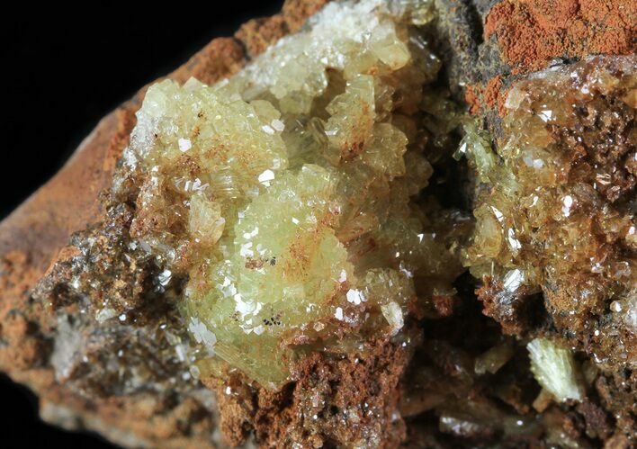 Gemmy, Yellow-Green Adamite Crystals - Durango, Mexico #65312
